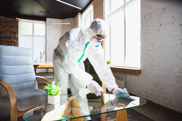 Why You Should Choose Our Mold Remediation Services in Suisun City, CA